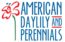 American Daylily & Perennials