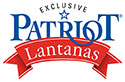 patriot lantanas
